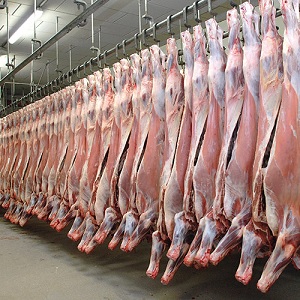 Exportación de Carne Estadounidense Podría Incrementarse