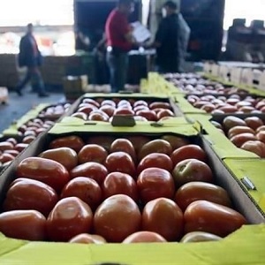 Estados Unidos Impone Aranceles a Exportaciones de Tomate Mexicano 